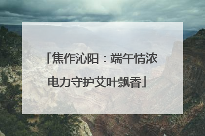 焦作沁阳：端午情浓 电力守护艾叶飘香