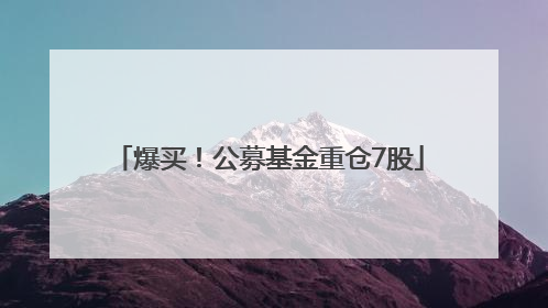 爆买！公募基金重仓7股