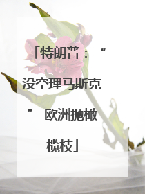 特朗普：“没空理马斯克” 欧洲抛橄榄枝