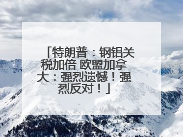 特朗普：钢铝关税加倍 欧盟加拿大：强烈遗憾！强烈反对！