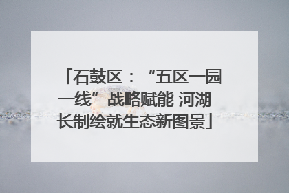 石鼓区：“五区一园一线”战略赋能 河湖长制绘就生态新图景