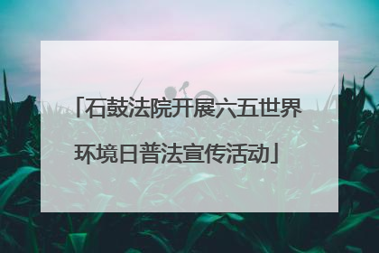 石鼓法院开展六五世界环境日普法宣传活动