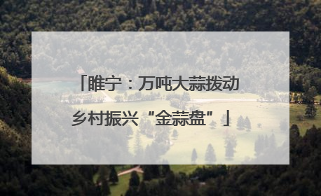 睢宁：万吨大蒜拨动乡村振兴“金蒜盘”