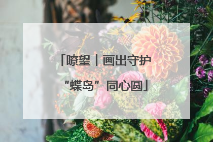 瞭望丨画出守护“蝶岛”同心圆