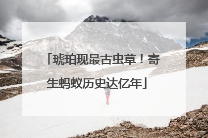 琥珀现最古虫草！寄生蚂蚁历史达亿年