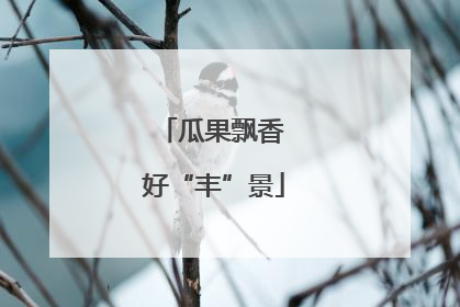 瓜果飘香 好“丰”景