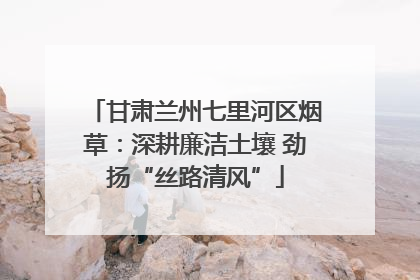 甘肃兰州七里河区烟草：深耕廉洁土壤 劲扬“丝路清风”