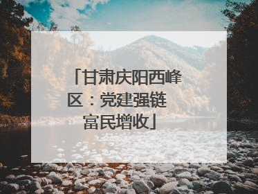 甘肃庆阳西峰区：党建强链 富民增收