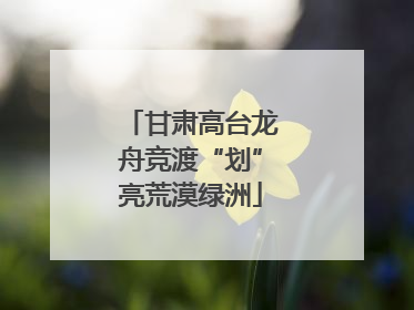 甘肃高台龙舟竞渡“划”亮荒漠绿洲