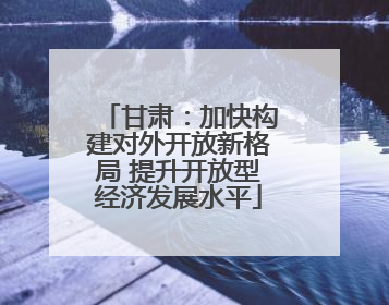 甘肃：加快构建对外开放新格局 提升开放型经济发展水平