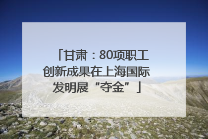 甘肃：80项职工创新成果在上海国际发明展“夺金”