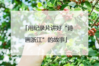用纪录片讲好“诗画浙江”的故事