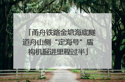 甬舟铁路金塘海底隧道舟山侧“定海号”盾构机掘进里程过半