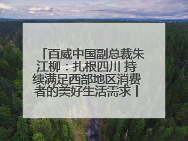 百威中国副总裁朱江柳：扎根四川 持续满足西部地区消费者的美好生活需求丨西望四川