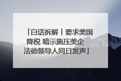白话拆解丨要求美国降税 暗示施压美企 法德领导人同日发声