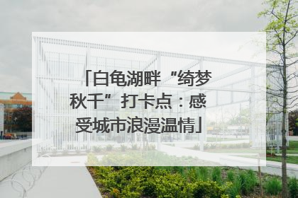 白龟湖畔“绮梦秋千”打卡点：感受城市浪漫温情
