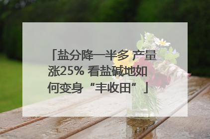 盐分降一半多 产量涨25% 看盐碱地如何变身“丰收田”