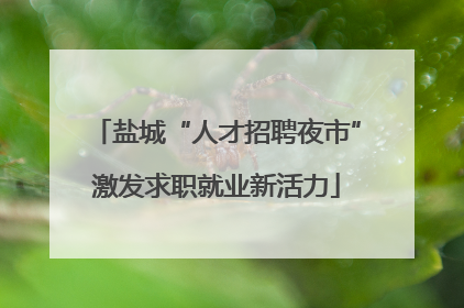 盐城“人才招聘夜市”激发求职就业新活力