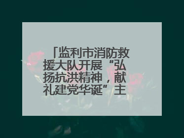 监利市消防救援大队开展“弘扬抗洪精神，献礼建党华诞”主题党日活动