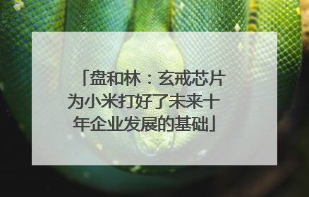 盘和林：玄戒芯片为小米打好了未来十年企业发展的基础