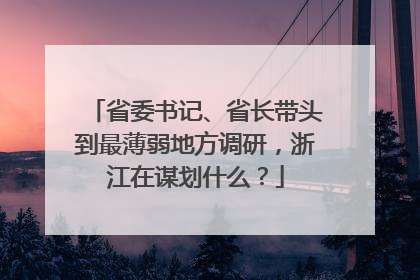 省委书记、省长带头到最薄弱地方调研，浙江在谋划什么？