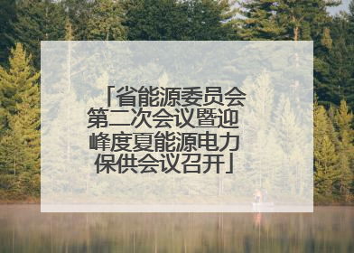 省能源委员会第二次会议暨迎峰度夏能源电力保供会议召开