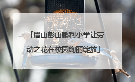 眉山彭山鹏利小学让劳动之花在校园绚丽绽放