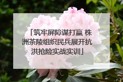 筑牢屏障谋打赢 株洲茶陵组织民兵展开抗洪抢险实战实训