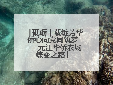 砥砺十载绽芳华 侨心向党同筑梦——元江华侨农场蝶变之路
