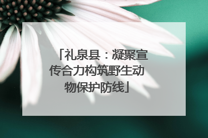 礼泉县：凝聚宣传合力构筑野生动物保护防线
