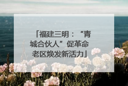 福建三明：“青城合伙人”促革命老区焕发新活力