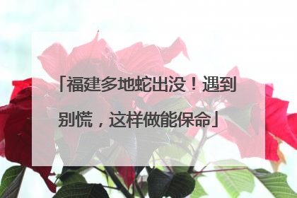 福建多地蛇出没！遇到别慌，这样做能保命