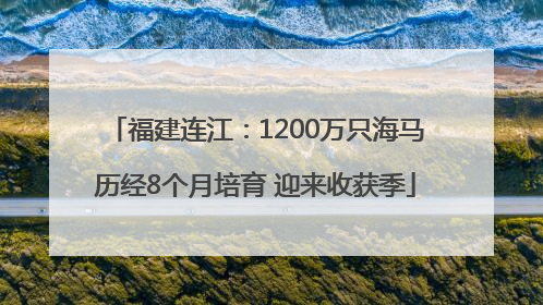 福建连江：1200万只海马历经8个月培育 迎来收获季