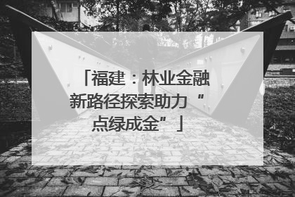 福建：林业金融新路径探索助力“点绿成金”