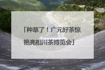 种草了！广元好茶惊艳亮相川茶博览会