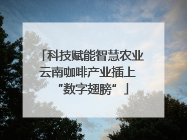 科技赋能智慧农业 云南咖啡产业插上“数字翅膀”