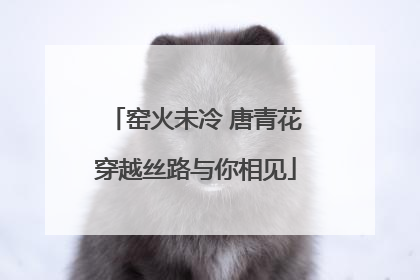 窑火未冷 唐青花穿越丝路与你相见