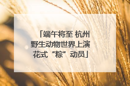 端午将至 杭州野生动物世界上演花式“粽”动员