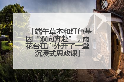 端午草木和红色基因“双向奔赴”，雨花台在户外开了一堂沉浸式思政课