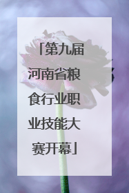 第九届河南省粮食行业职业技能大赛开幕