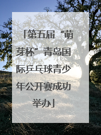 第五届“萌芽杯”青岛国际乒乓球青少年公开赛成功举办