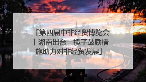 第四届中非经贸博览会丨湖南出台一揽子鼓励措施助力对非经贸发展