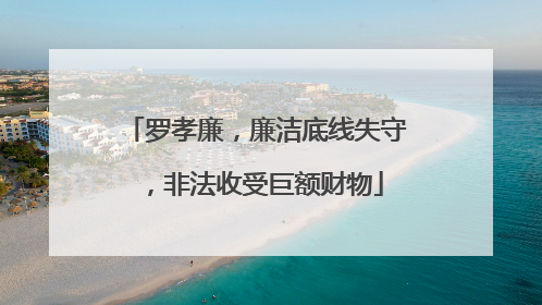 罗孝廉，廉洁底线失守，非法收受巨额财物