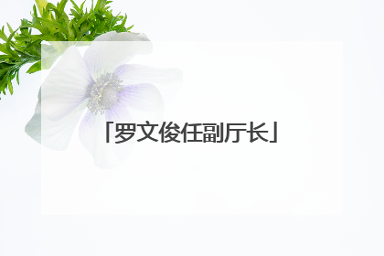 罗文俊任副厅长