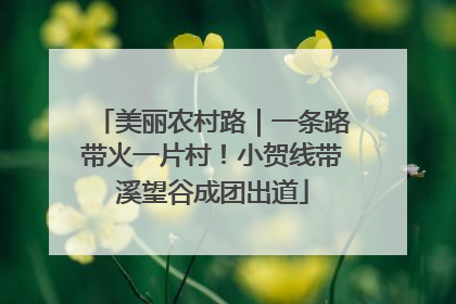 美丽农村路｜一条路带火一片村！小贺线带溪望谷成团出道
