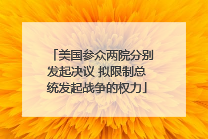 美国参众两院分别发起决议 拟限制总统发起战争的权力