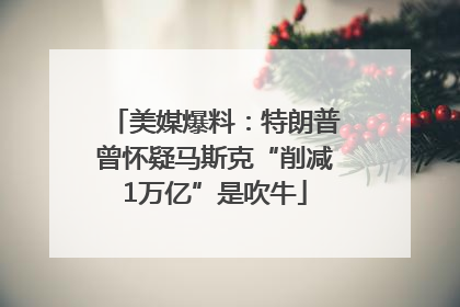 美媒爆料：特朗普曾怀疑马斯克“削减1万亿”是吹牛