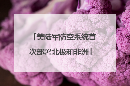 美陆军防空系统首次部署北极和非洲