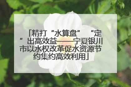 精打“水算盘” “定”出高效益——宁夏银川市以水权改革促水资源节约集约高效利用