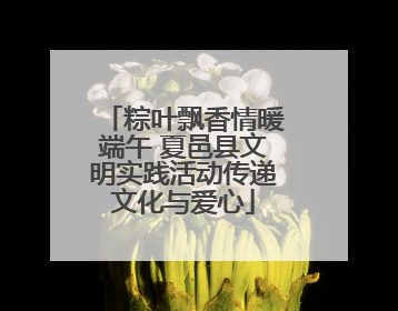粽叶飘香情暖端午 夏邑县文明实践活动传递文化与爱心